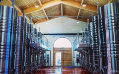 Construction de cave de vinification